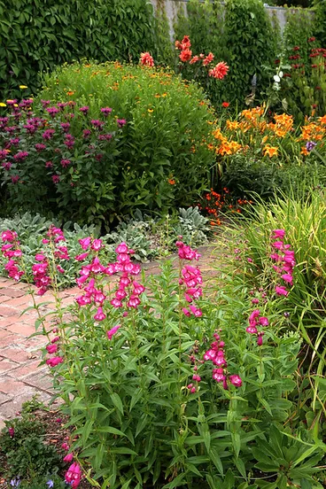 Image: Hamilton Gardens, Hamilton, NZ