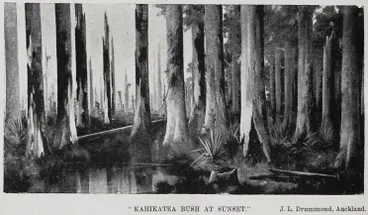 Image: Some of the pictures at the Auckland Art Society's Exhibition, 1901