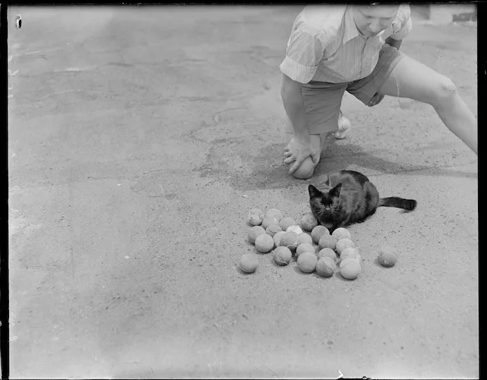 Cat that collects tennis balls