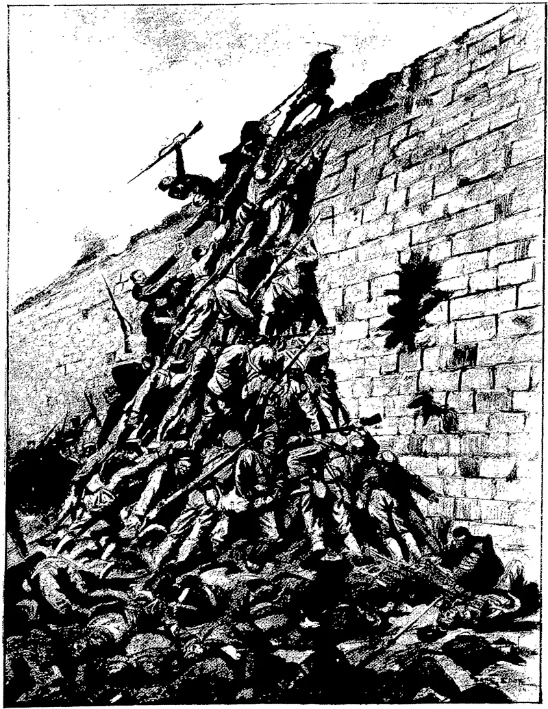 Untitled Illustration (Otago Witness, 09 November 1904)