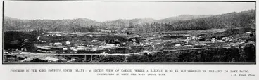 Image: Progress in the King Country, North Island