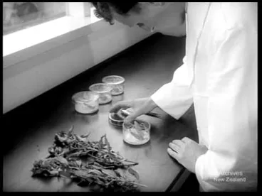 Image: Pictorial Parade No. 34 (1955)