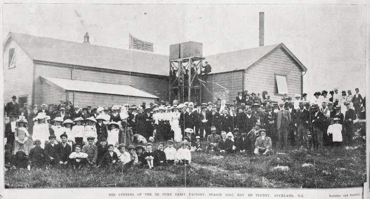 The opening of the Te Puke dairy factory for 1902-3 season