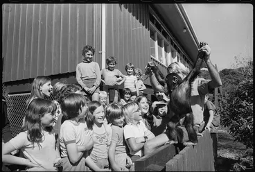 Image: School children at Wellington Zoo, New Zealand