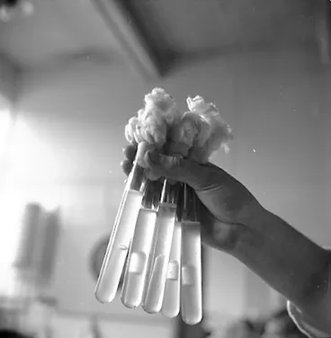 Image: j. Interior of Laboratory at Corporation Yard