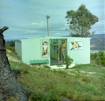 Image: Cornelius Aben and cattery.