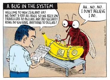 Image: Murdoch, Sharon Gay, 1960- :Fruitfly. 21 February 2015