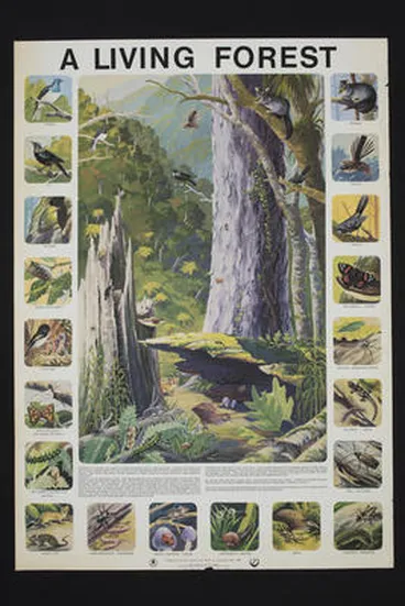 A living forest Image: A living forest