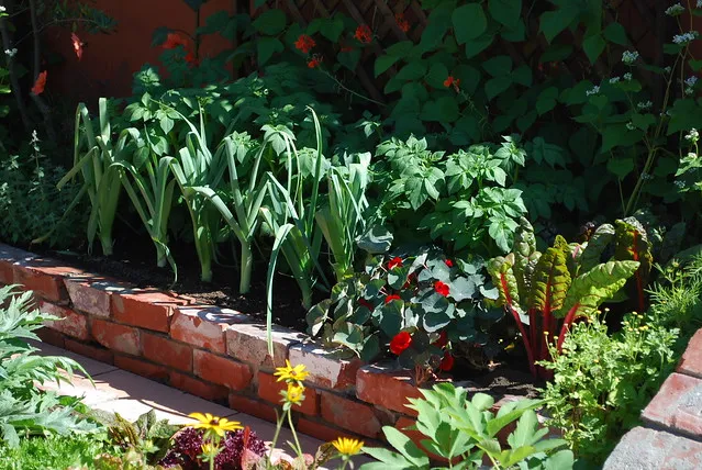 Sustainability with Style