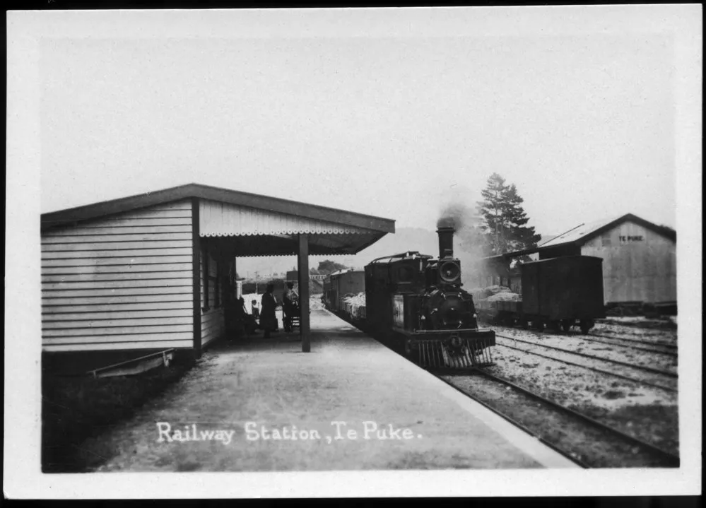 Te Puke set of 12 photos