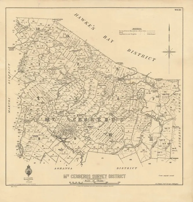 Mt. Cerberus Survey District [electronic resource].