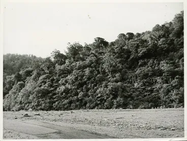 Image: Orongorongo River, Wellington