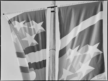 XIV Commonwealth Games flags, Blockhouse Bay Road, 1989 Image: XIV Commonwealth Games flags, Blockhouse Bay Road, 1989
