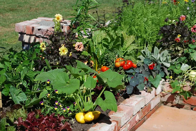 Sustainability with Style