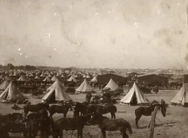 Image: Sinai & Palestine