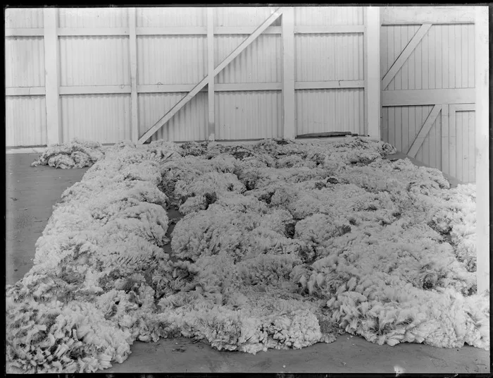 Sheep fleeces