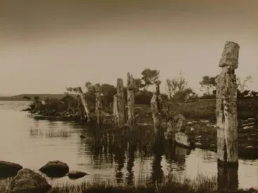 Image: Palisade posts west side Muruika