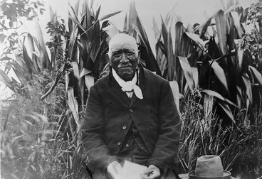 Image: Creator unknown : Wiremu Patara Te Tuhi photographed by John Hugh Boscawen