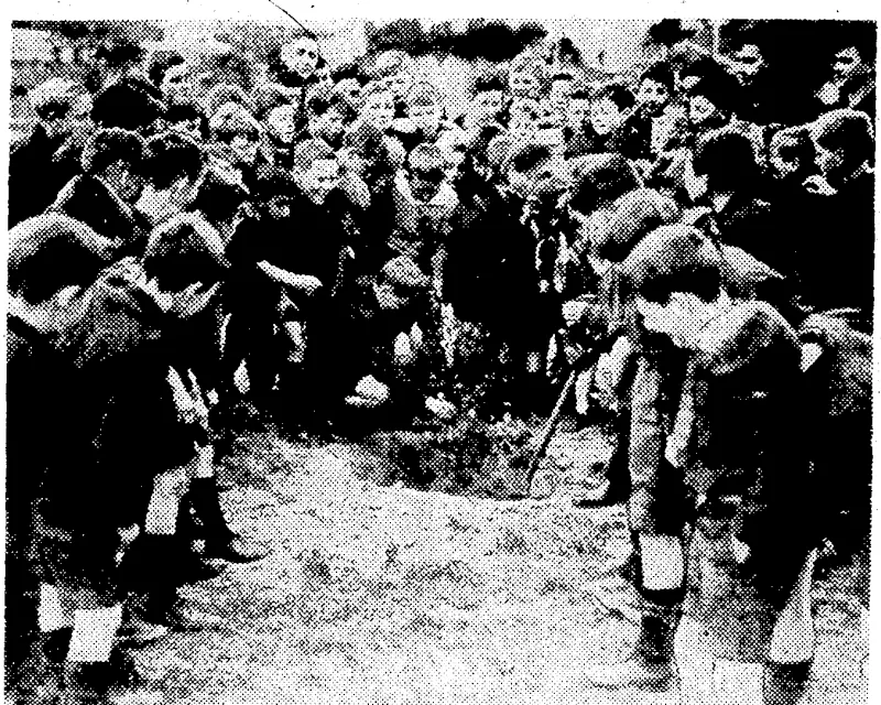 Evening Post" Photo. Boys attending -the new Marist Brothers' School- at Miramar watching a tree being ..planted in the school grounds to mark 'Arbor Day. * . (Evening Post, 12 August 1937)