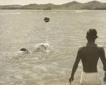 Image: Opo the dolphin, Opononi