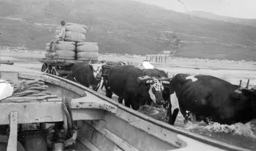 Image: Loading Wool, Akitio