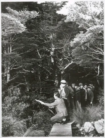 Image: Arthurs Pass National Park - Nature Study