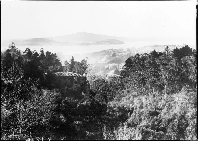 Grafton Gully and the Waitematā Harbour, 1904