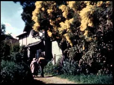 Image: Hawkes Bay (1952)