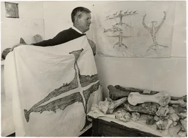 Image: Moa bones and rock drawings