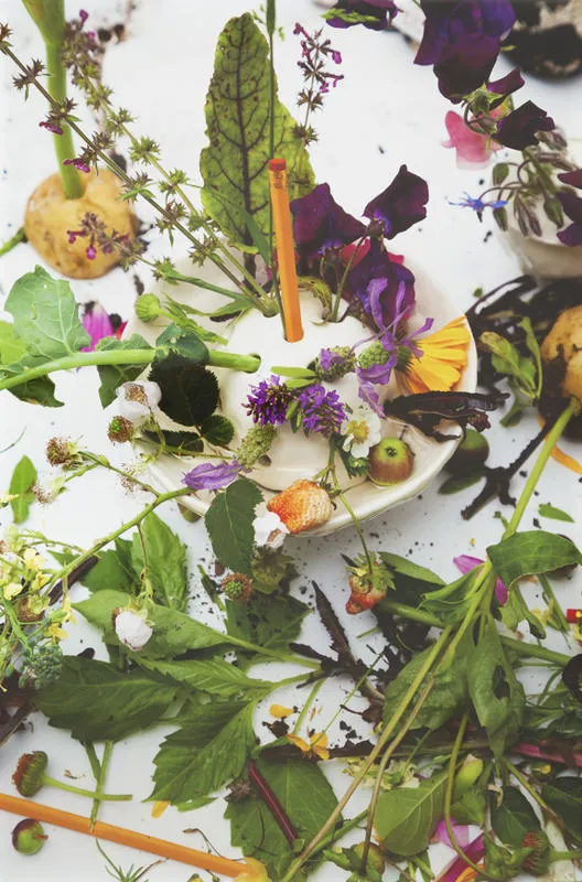 Garden Cities of Tomorrow