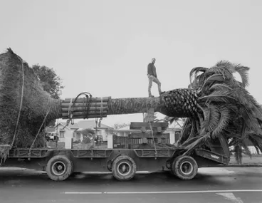 Image: Tree on a truck, Papatoetoe, 1992