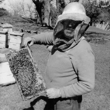 Image: Field's Apiaries head employee, 1967-68 season, Foxton