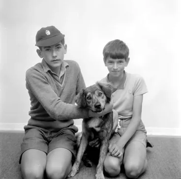 Image: Animal Rescue (?) boys and dog.