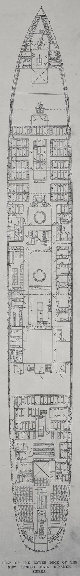 Plan of the lower deck of the new Frisco mail steamer, 'Sierra'