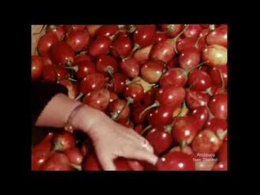 Image: Pictorial Parade No. 210 (1968)