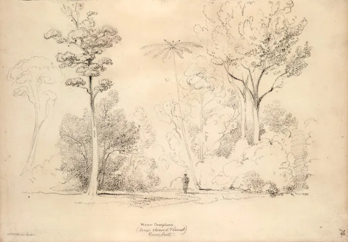 Swainson, William 1789-1855 :Near Comptons. (Since cleared and burnt) River Hutt. [1843?]