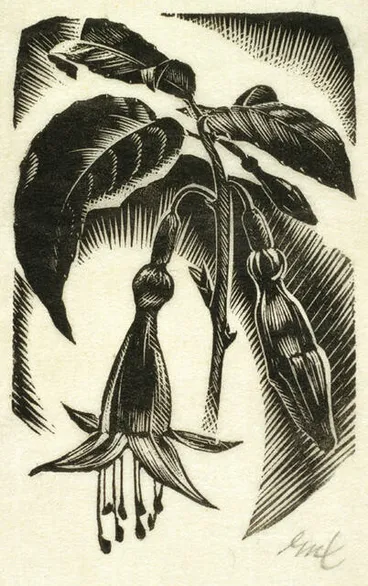 Image: E. Mervyn Taylor - Native Fuchsia