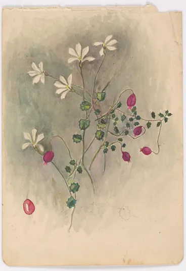 Image: Pratia angulata