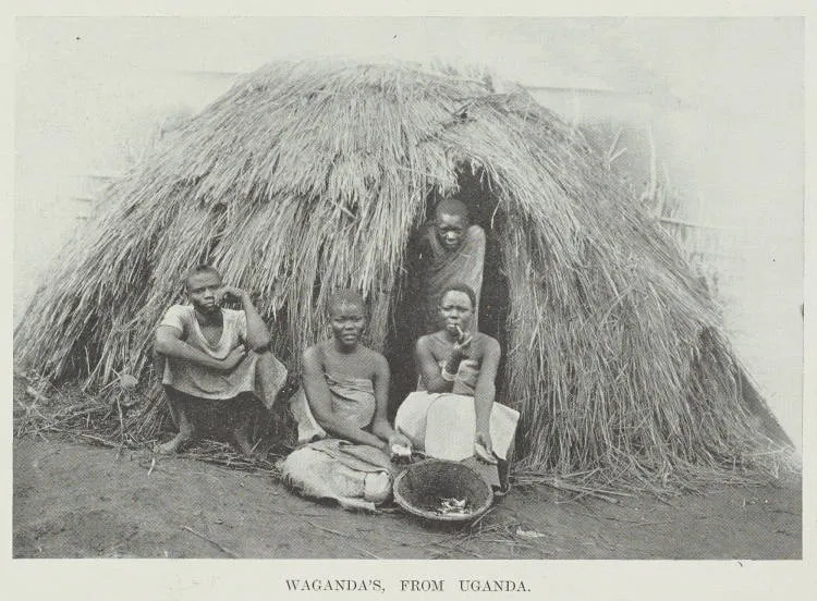 Waganda's, from Uganda