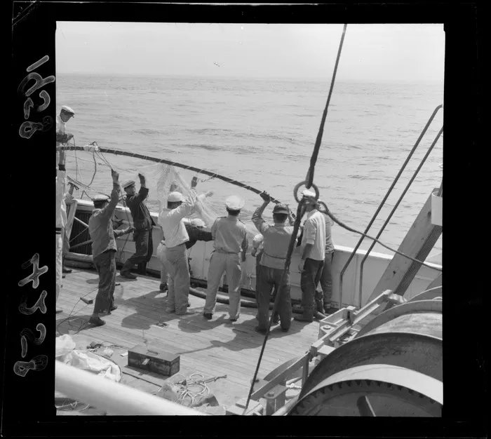 Unidentified men pulling in net on board Japanese fishing boat, Cook Strait