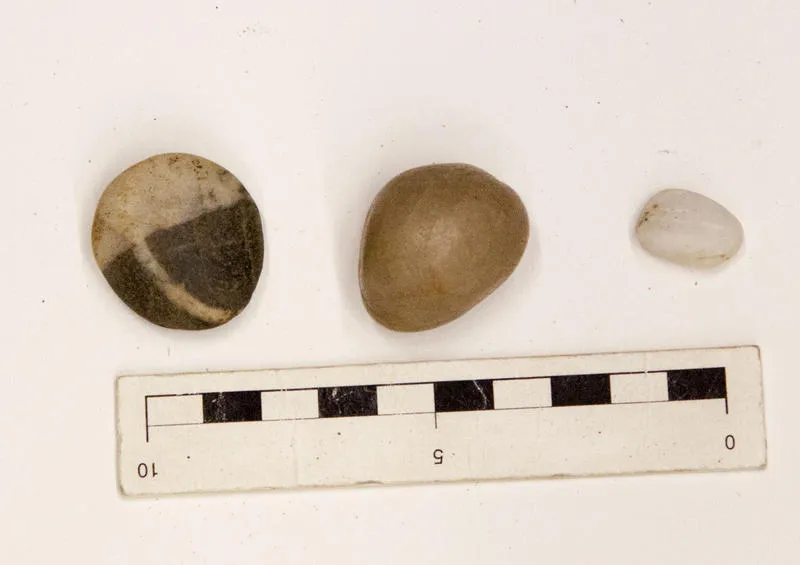 Moa, Gizzard stones
