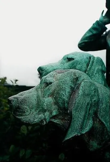 Image: Sydney (Dogs)