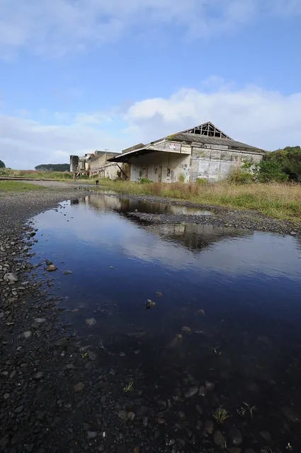 Patea freezing works