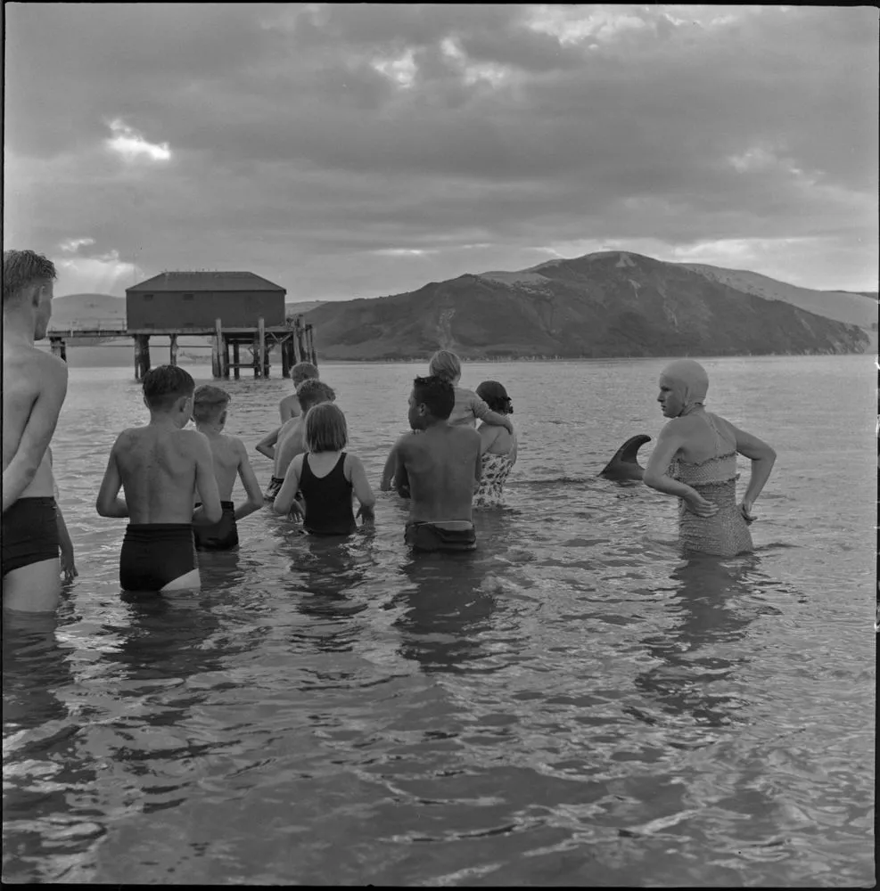 Crowd in the water, Opononi