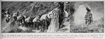Image: Top-Dressing Pastures in the Hilly Country of the Wellington District