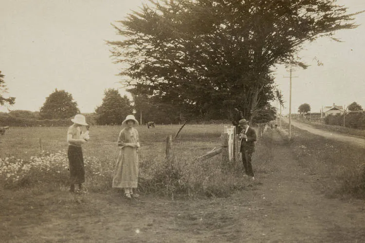 Picking daisies, Pukekohe, 1924
