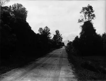 Image: At Peel Forest