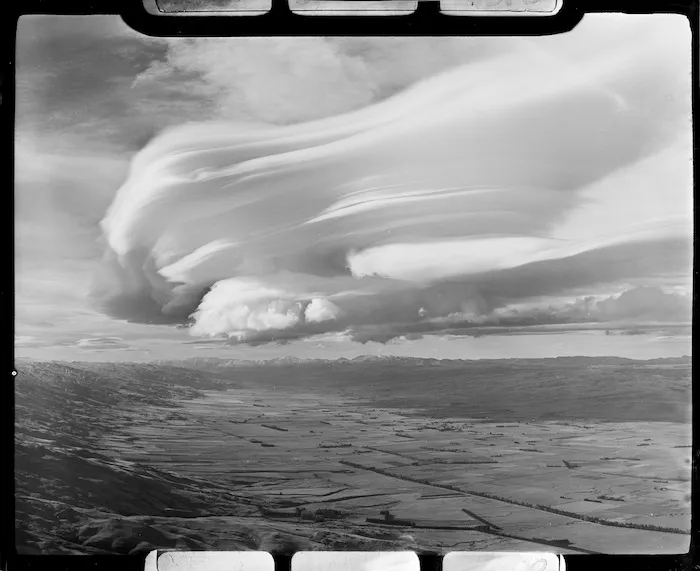 Taieri Pet at Middlemarch