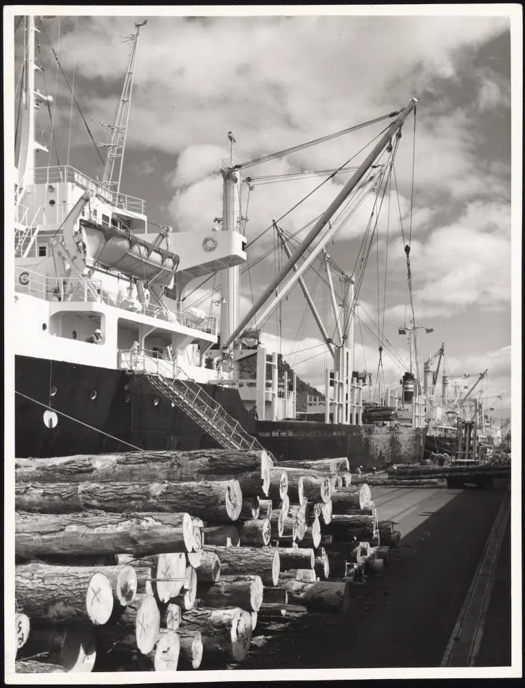 Mount Maunganui wharf