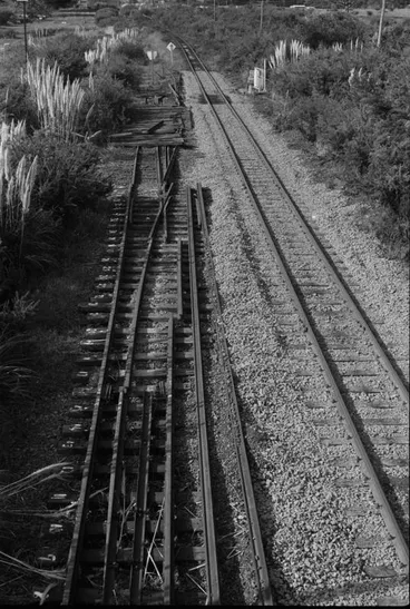Image: Photograph of Swanson railway station